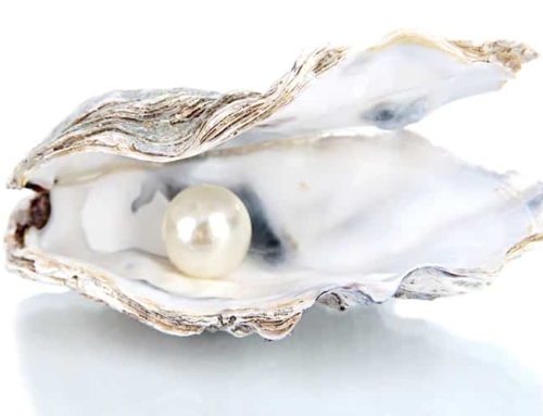 La pierre du mois : JUIN – La Perle
